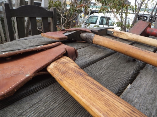 DSCF8158.jpg