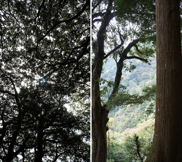 20120130_08.jpg