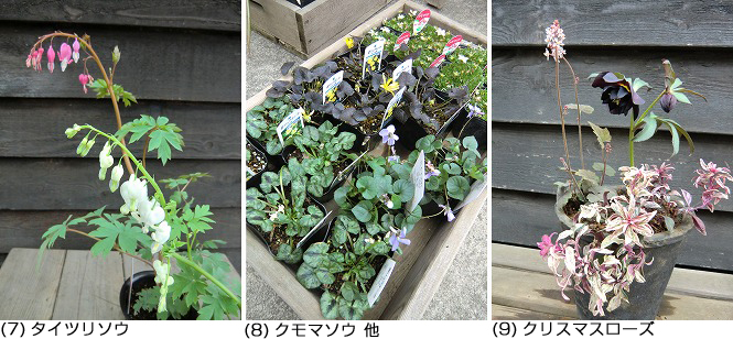 20120305_03.jpg