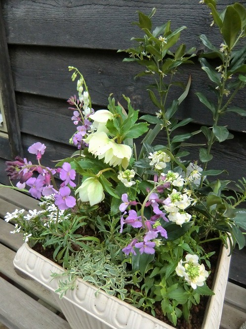 20120305_04.jpg