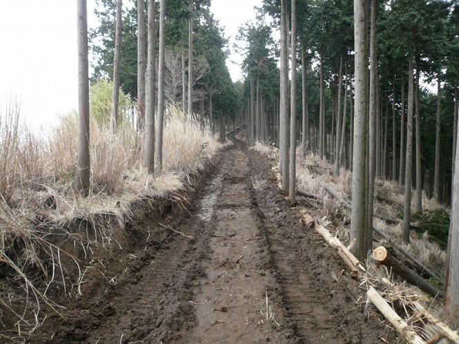 20120308_03.jpg