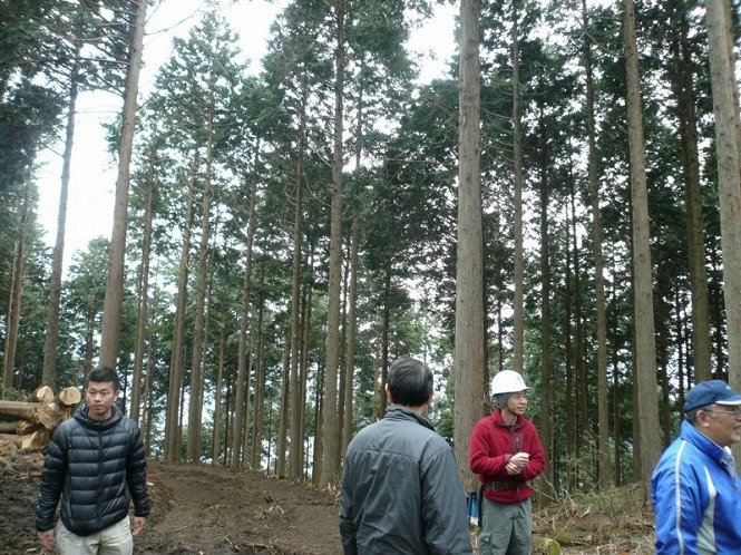 20120308_04.jpg
