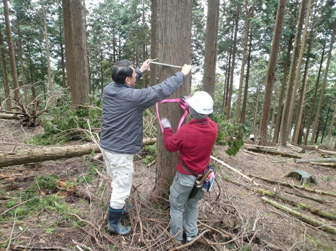 20120308_06.jpg