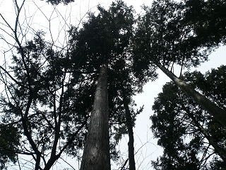 20120326_01.jpg