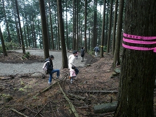 20120326_02.jpg