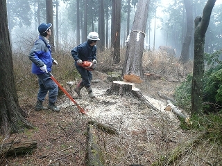 20120326_05.jpg