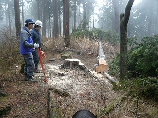 20120326_06.jpg