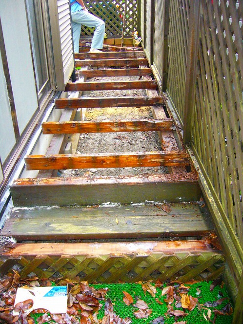 20120508_01.jpg