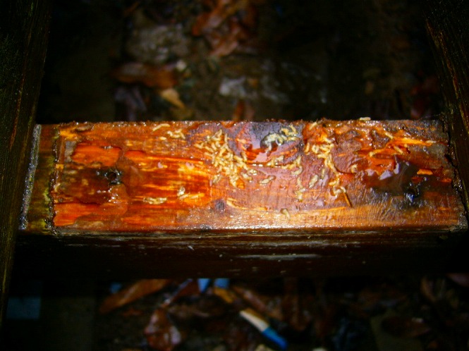20120508_02.jpg