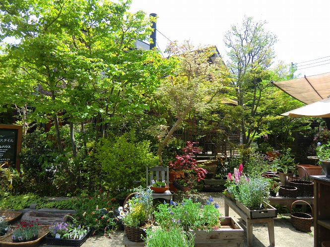 20120510_04.jpg