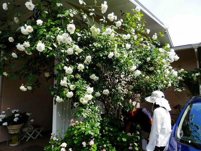 20120524_02.jpg