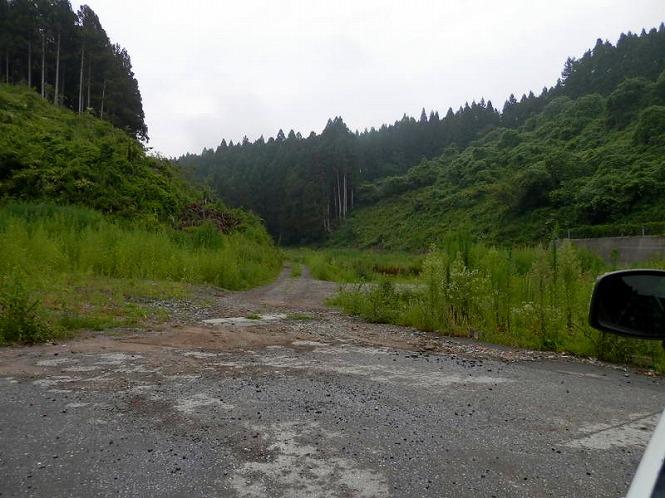 20120814_18_3.jpg