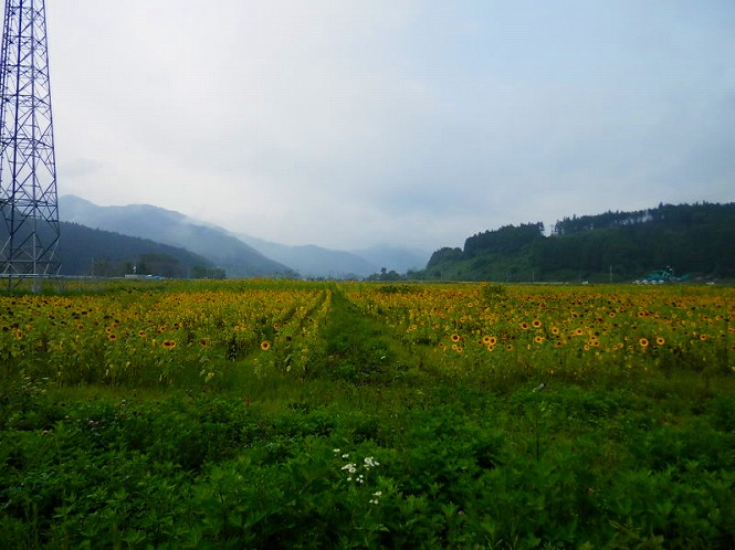 20120815_02.jpg