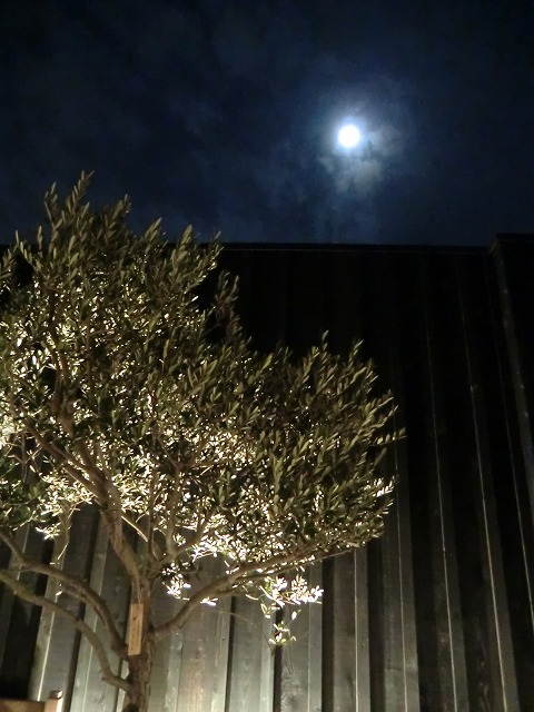 20121027_18.jpg