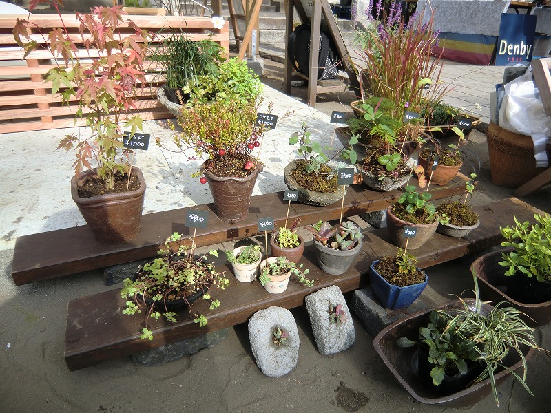 20121103_04.jpg