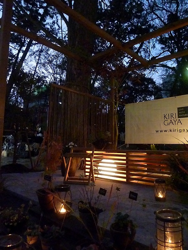 20121103_08.jpg