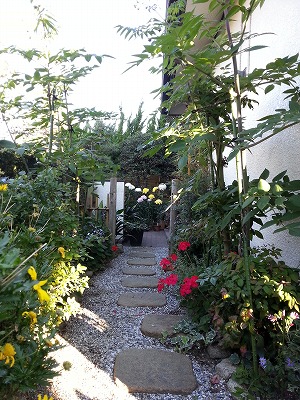 20121110_01.jpg