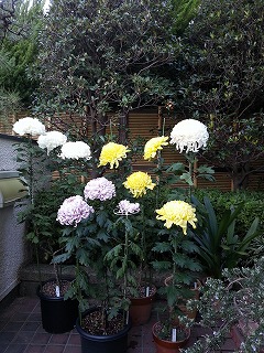 20121110_02.jpg