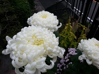 20121110_03.jpg