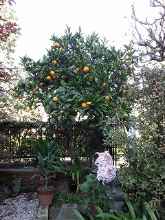 20121110_04.jpg