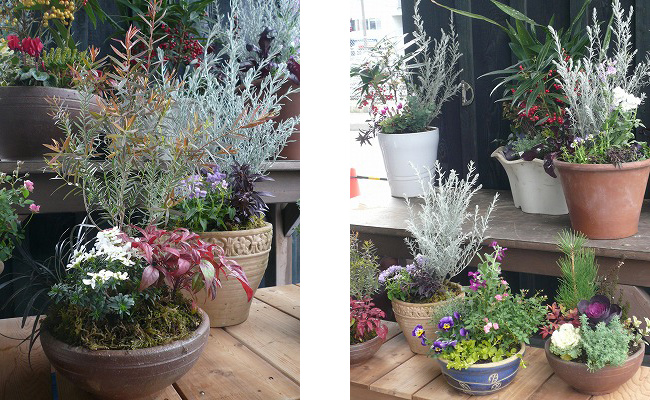 20121202_17.jpg